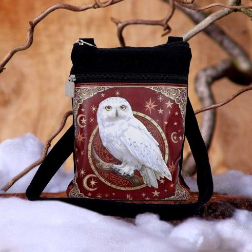 Magical Flight Shoulder Bag 23cm Bag