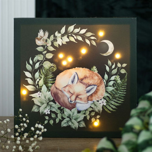 Sleeping Fox Light Up Canvas Plaque Canvas