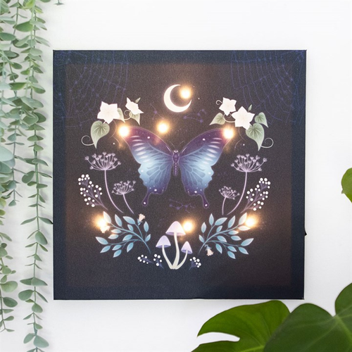 Midnight Moth Light Up Canvas Plaque Canvas