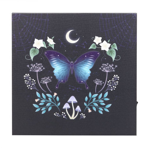 Midnight Moth Light Up Canvas Plaque Canvas