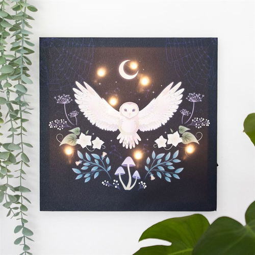 Night Owl Light Up Canvas Plaque Canvas
