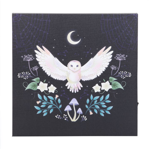 Night Owl Light Up Canvas Plaque Canvas
