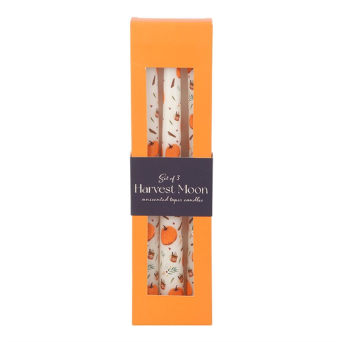 Set of 3 Pumpkin Taper Candles Candles