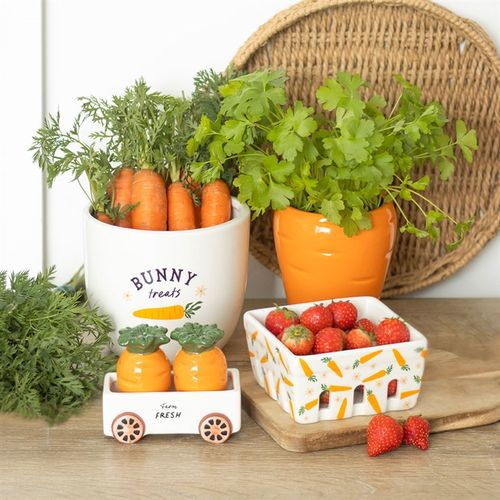 Carrot Salt and Pepper Shakers in Wagon Salt & pepper pots