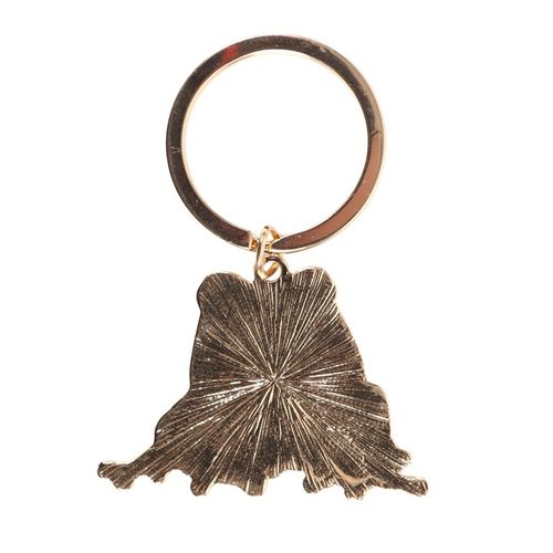 Lucky Frog Keyring Keyring